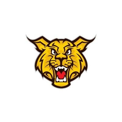 Edinburg CUSD #4